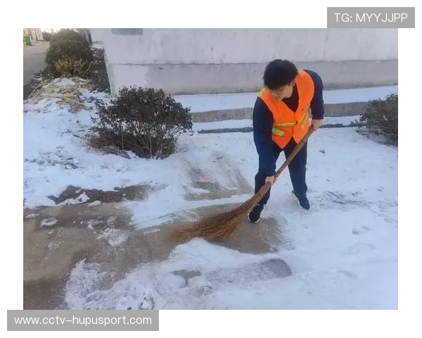 德国足球文化韧性：暴雪中球迷社区互助现象观察